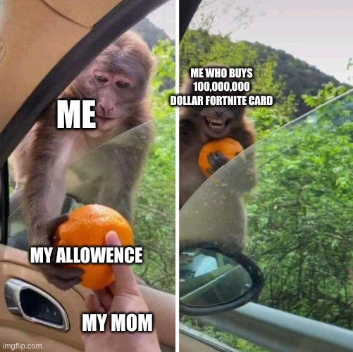monkey getting an orange | ME WHO BUYS 100,000,000 DOLLAR FORTNITE CARD; ME; MY ALLOWENCE; MY MOM | image tagged in monkey getting an orange | made w/ Imgflip meme maker