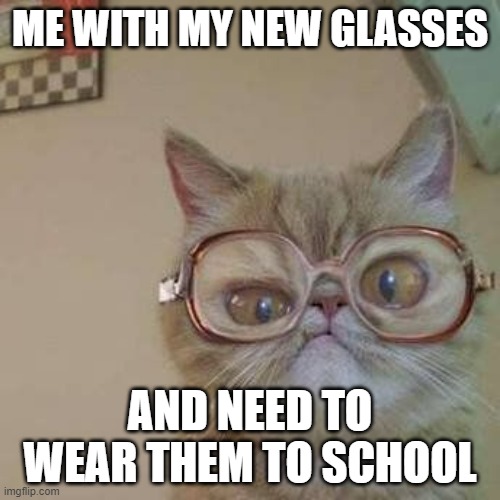 Funny Cat with Glasses | ME WITH MY NEW GLASSES; AND NEED TO WEAR THEM TO SCHOOL | image tagged in funny cat with glasses | made w/ Imgflip meme maker