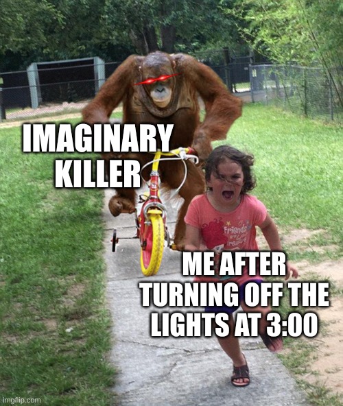 Orangutan chasing girl on a tricycle | IMAGINARY KILLER; ME AFTER TURNING OFF THE LIGHTS AT 3:00 | image tagged in orangutan chasing girl on a tricycle | made w/ Imgflip meme maker