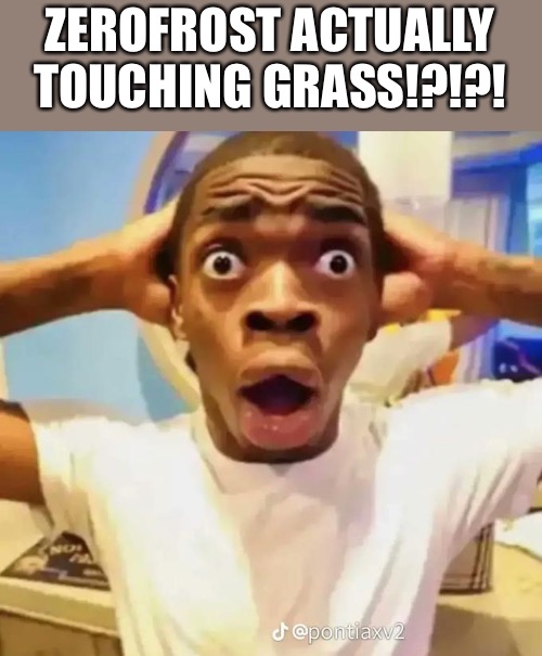 Shocked black guy | ZEROFROST ACTUALLY TOUCHING GRASS!?!?! | image tagged in shocked black guy | made w/ Imgflip meme maker