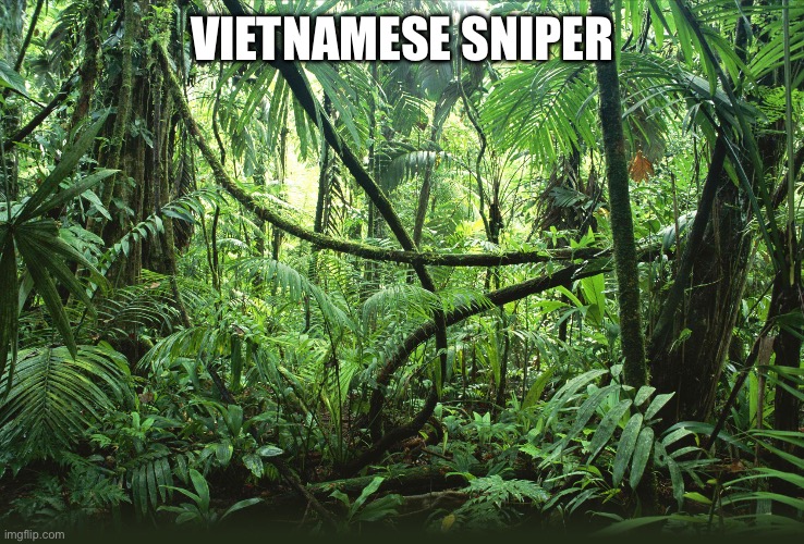 Jungle | VIETNAMESE SNIPER | image tagged in jungle | made w/ Imgflip meme maker