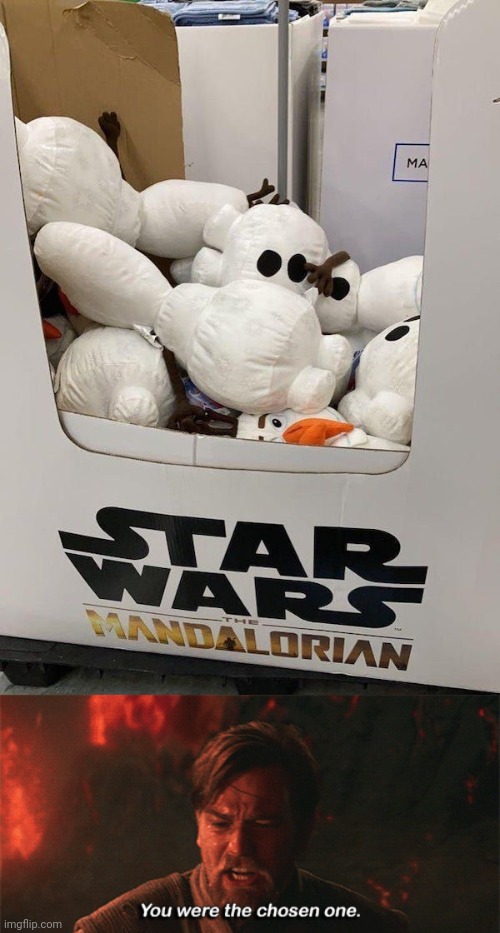 Wrong | image tagged in you were the chosen one,star wars,memes,you had one job,toys,toy | made w/ Imgflip meme maker