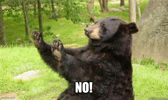 How about no bear | NO! | image tagged in how about no bear | made w/ Imgflip meme maker