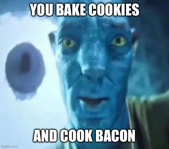 My life is a lie | YOU BAKE COOKIES; AND COOK BACON | image tagged in avatar guy | made w/ Imgflip meme maker