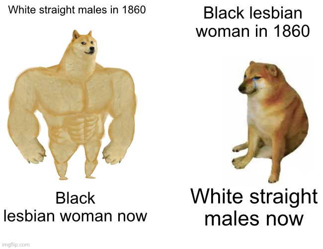 Buff Doge vs. Cheems | White straight males in 1860; Black lesbian woman in 1860; Black lesbian woman now; White straight males now | image tagged in memes,buff doge vs cheems | made w/ Imgflip meme maker