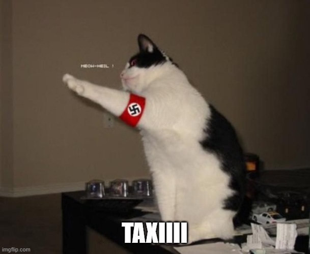 Nazi salute cat | TAXIIII | image tagged in nazi salute cat | made w/ Imgflip meme maker