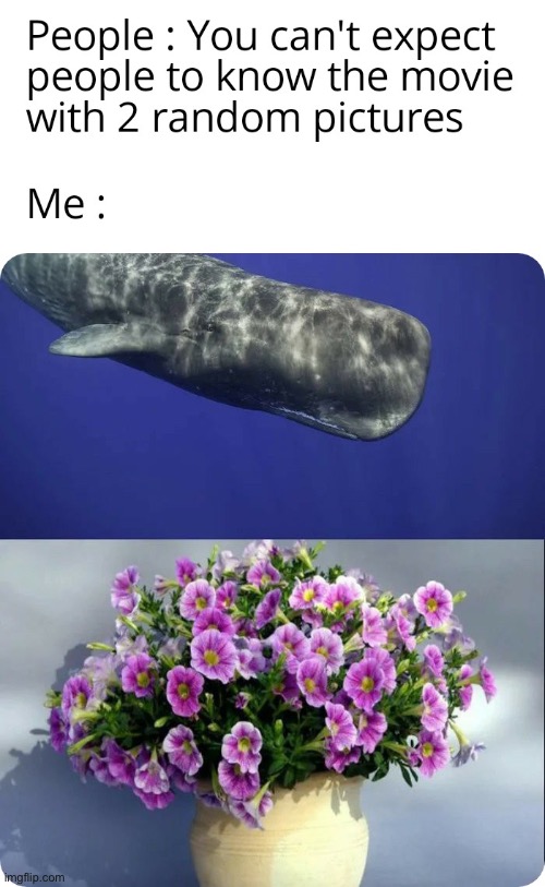 image tagged in memes | made w/ Imgflip meme maker