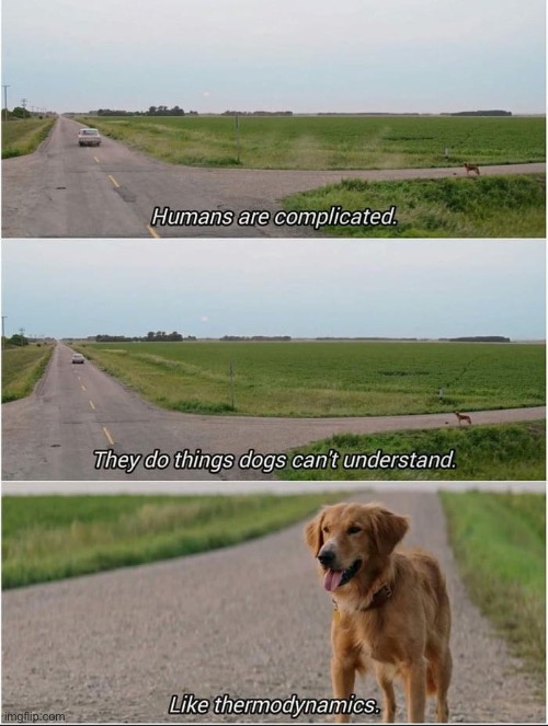 image tagged in memes | made w/ Imgflip meme maker