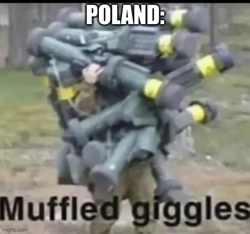 Muffled giggles | POLAND: | image tagged in muffled giggles | made w/ Imgflip meme maker