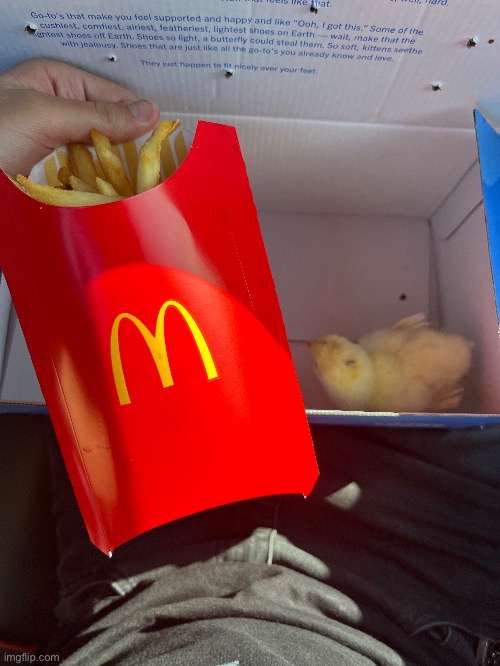 Got my large fry and 1 piece chicken nugget meal | made w/ Imgflip meme maker