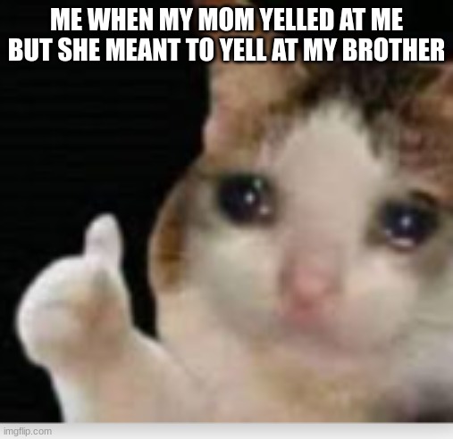 up vote is its relatable | ME WHEN MY MOM YELLED AT ME BUT SHE MEANT TO YELL AT MY BROTHER | image tagged in happy cat | made w/ Imgflip meme maker