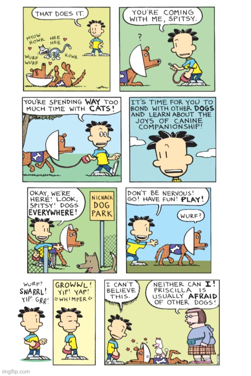 Spitsy Needs to toughen up. | image tagged in big nate | made w/ Imgflip meme maker