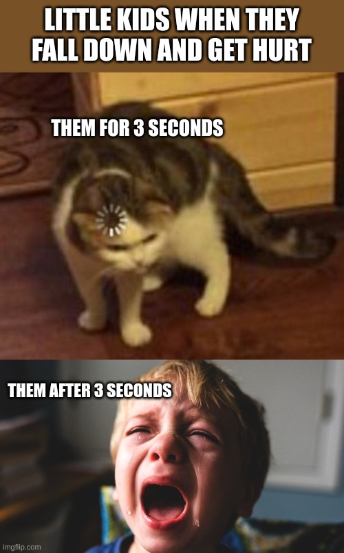 -_-? | LITTLE KIDS WHEN THEY FALL DOWN AND GET HURT; THEM FOR 3 SECONDS; THEM AFTER 3 SECONDS | image tagged in loading cat,kid screams | made w/ Imgflip meme maker