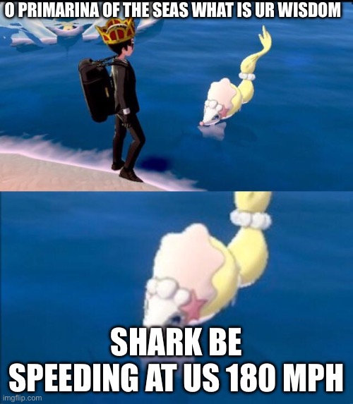 O Primarina of the seas | O PRIMARINA OF THE SEAS WHAT IS UR WISDOM; SHARK BE SPEEDING AT US 180 MPH | image tagged in o primarina of the seas | made w/ Imgflip meme maker