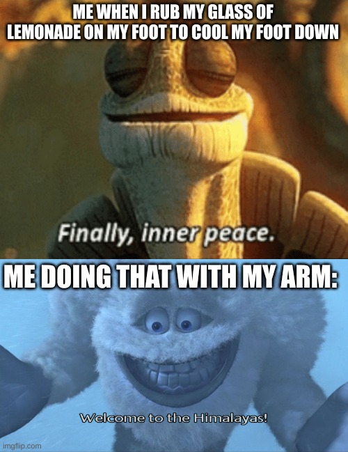 and then my arm irritates. | ME WHEN I RUB MY GLASS OF LEMONADE ON MY FOOT TO COOL MY FOOT DOWN; ME DOING THAT WITH MY ARM: | image tagged in finally inner peace,welcome to the himalayas,memes,funny | made w/ Imgflip meme maker