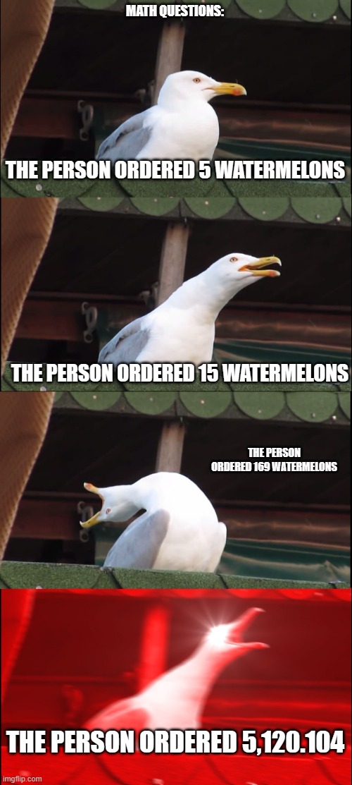 Every math question | MATH QUESTIONS:; THE PERSON ORDERED 5 WATERMELONS; THE PERSON ORDERED 15 WATERMELONS; THE PERSON ORDERED 169 WATERMELONS; THE PERSON ORDERED 5,120.104 | image tagged in memes,inhaling seagull | made w/ Imgflip meme maker