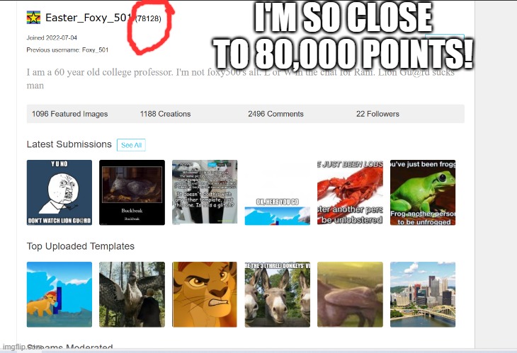 Foxy_501 profile | I'M SO CLOSE TO 80,000 POINTS! | image tagged in foxy_501 profile | made w/ Imgflip meme maker