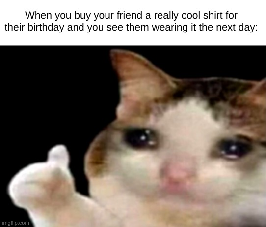 It's the best feeling, isn't it? | When you buy your friend a really cool shirt for their birthday and you see them wearing it the next day: | image tagged in sad cat thumbs up,birthday,cats,relatable memes | made w/ Imgflip meme maker