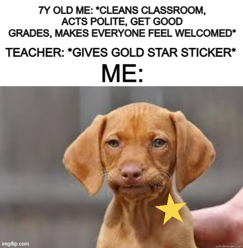 It was never worth it to do work at school, only to get a sticker -_- | 7Y OLD ME: *CLEANS CLASSROOM, ACTS POLITE, GET GOOD GRADES, MAKES EVERYONE FEEL WELCOMED*; TEACHER: *GIVES GOLD STAR STICKER*; ME: | image tagged in blank white template,disappointed dog | made w/ Imgflip meme maker