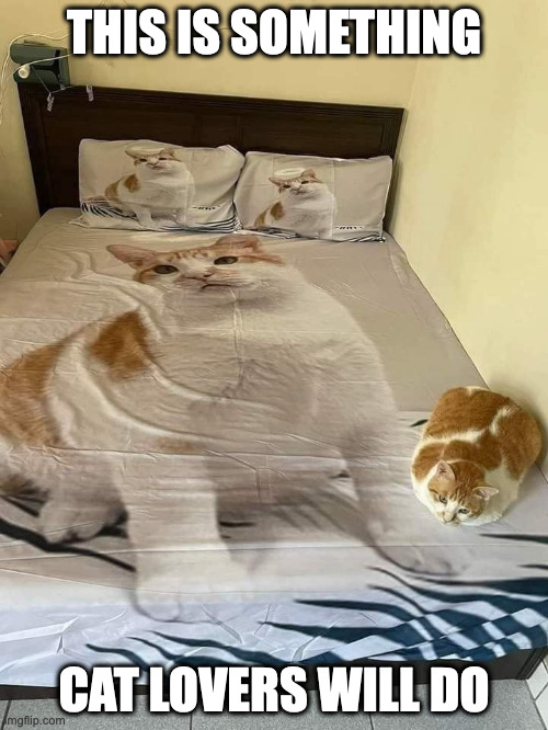 Bed WIth Cat-Themed Bedding | THIS IS SOMETHING; CAT LOVERS WILL DO | image tagged in bed,cats,memes | made w/ Imgflip meme maker