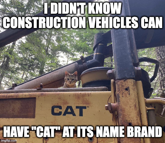 Cat on Construction Vehicle | I DIDN'T KNOW CONSTRUCTION VEHICLES CAN; HAVE "CAT" AT ITS NAME BRAND | image tagged in cats,memes | made w/ Imgflip meme maker