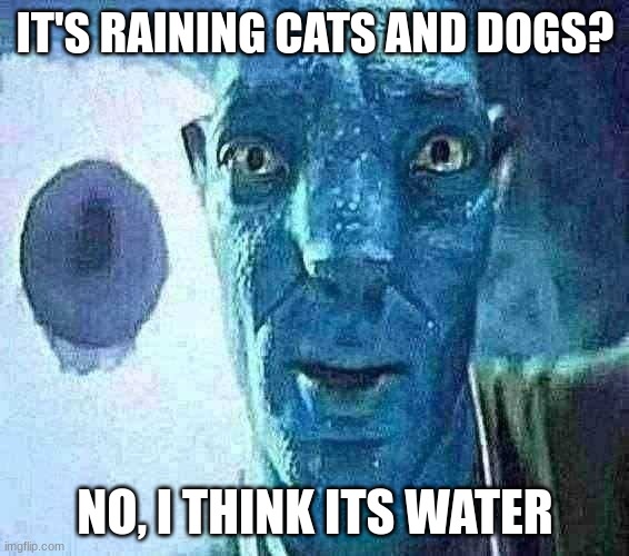 I'm back from the dead bois! YAHOO! | IT'S RAINING CATS AND DOGS? NO, I THINK ITS WATER | image tagged in avatar guy | made w/ Imgflip meme maker