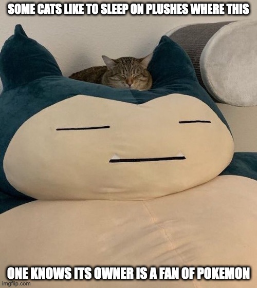 Cat Sleeping on Snorlax Plush | SOME CATS LIKE TO SLEEP ON PLUSHES WHERE THIS; ONE KNOWS ITS OWNER IS A FAN OF POKEMON | image tagged in cats,memes,pokemon,snorlax | made w/ Imgflip meme maker