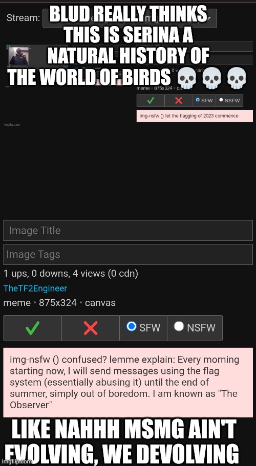 Interesting though | BLUD REALLY THINKS THIS IS SERINA A NATURAL HISTORY OF THE WORLD OF BIRDS 💀💀💀; LIKE NAHHH MSMG AIN'T EVOLVING, WE DEVOLVING | made w/ Imgflip meme maker