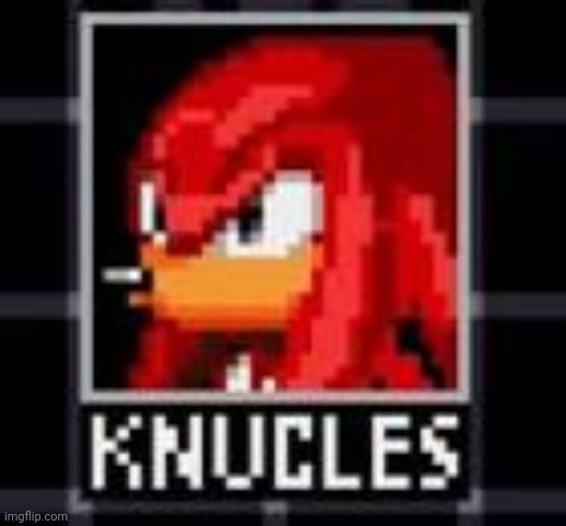 KNUCLES | image tagged in knucles | made w/ Imgflip meme maker