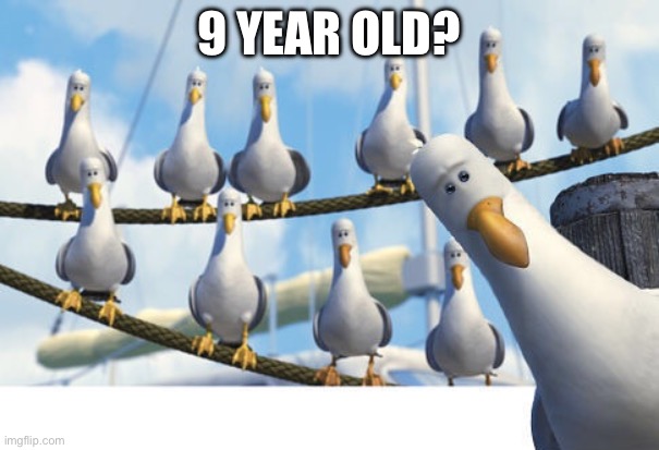 Finding Nemo Seagulls | 9 YEAR OLD? | image tagged in finding nemo seagulls | made w/ Imgflip meme maker