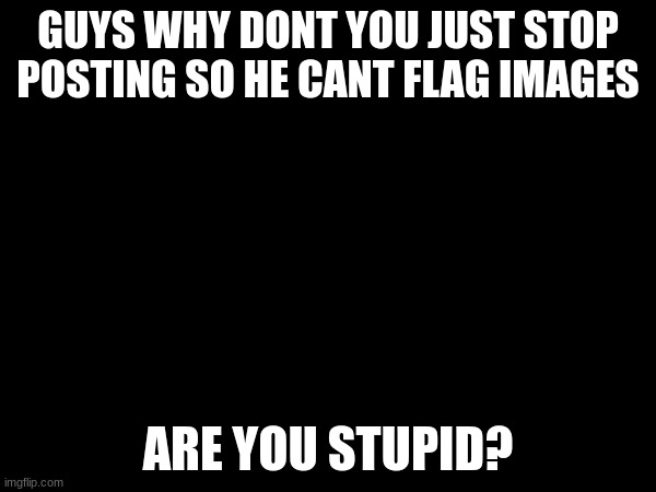 is msmg stupid? | GUYS WHY DONT YOU JUST STOP POSTING SO HE CANT FLAG IMAGES; ARE YOU STUPID? | made w/ Imgflip meme maker