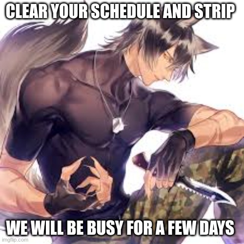 CLEAR YOUR SCHEDULE AND STRIP WE WILL BE BUSY FOR A FEW DAYS | made w/ Imgflip meme maker