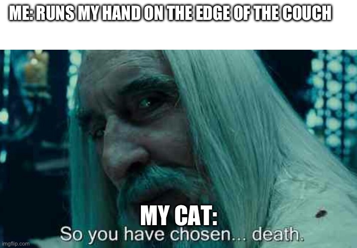 My cat has it out for my hand | ME: RUNS MY HAND ON THE EDGE OF THE COUCH; MY CAT: | image tagged in so you have chosen death,cats,cat memes | made w/ Imgflip meme maker