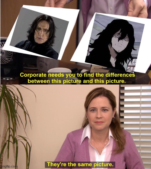 aizawa vs snape | image tagged in memes,they're the same picture,mha,harry potter | made w/ Imgflip meme maker