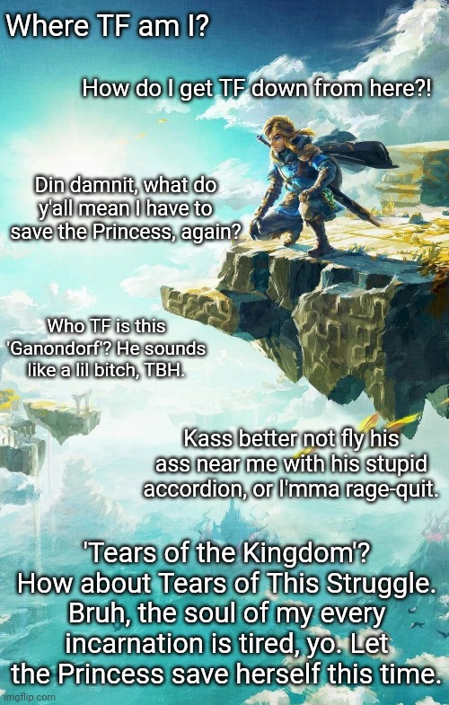 Tears of This Struggle | Where TF am I? How do I get TF down from here?! Din damnit, what do y'all mean I have to save the Princess, again? Who TF is this 'Ganondorf'? He sounds like a lil bitch, TBH. Kass better not fly his ass near me with his stupid accordion, or I'mma rage-quit. 'Tears of the Kingdom'? How about Tears of This Struggle. Bruh, the soul of my every incarnation is tired, yo. Let the Princess save herself this time. | image tagged in the legend of zelda,tears of the kingdom,link | made w/ Imgflip meme maker