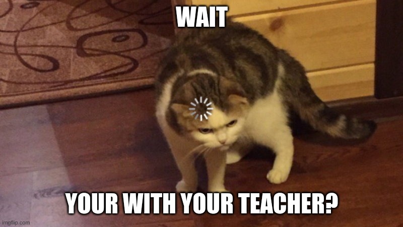 WAIT YOUR WITH YOUR TEACHER? | image tagged in buffering cat | made w/ Imgflip meme maker