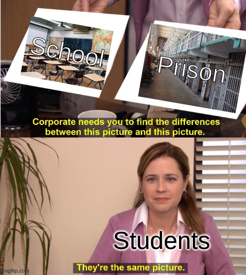 Students be like | School; Prison; Students | image tagged in memes,they're the same picture,school,jail | made w/ Imgflip meme maker