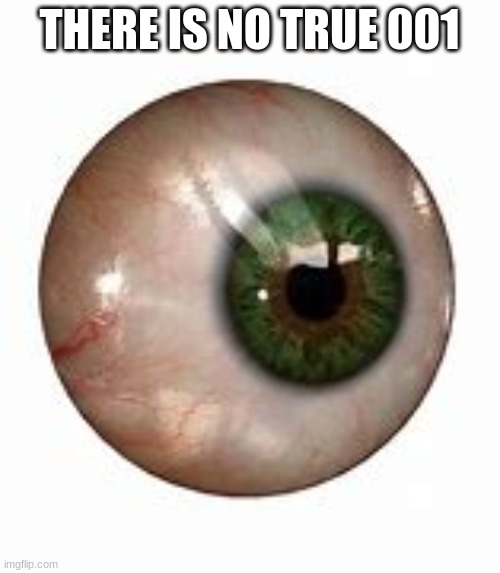 eyeball | THERE IS NO TRUE 001 | image tagged in eyeball | made w/ Imgflip meme maker