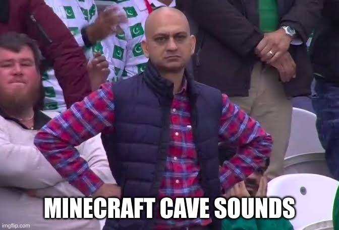 MINECRAFT CAVE SOUNDS | image tagged in disappointed man | made w/ Imgflip meme maker