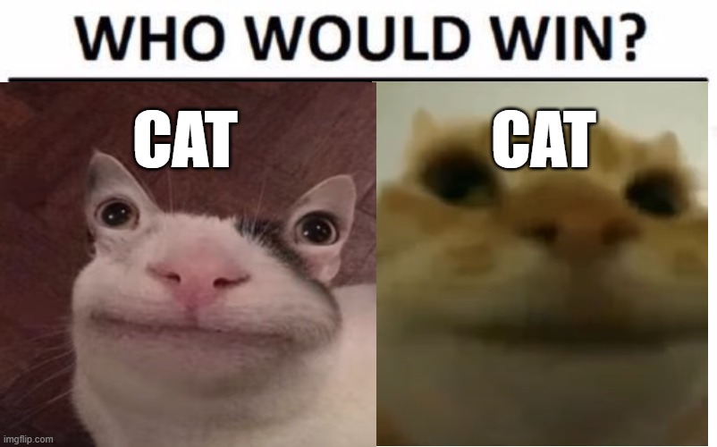 ultimate battle | CAT; CAT | image tagged in who would win,cats | made w/ Imgflip meme maker