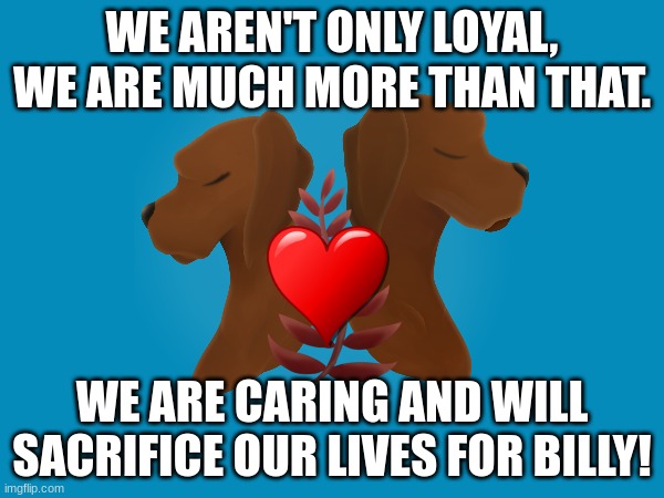 loveing pups | WE AREN'T ONLY LOYAL, WE ARE MUCH MORE THAN THAT. WE ARE CARING AND WILL SACRIFICE OUR LIVES FOR BILLY! | image tagged in dogs | made w/ Imgflip meme maker