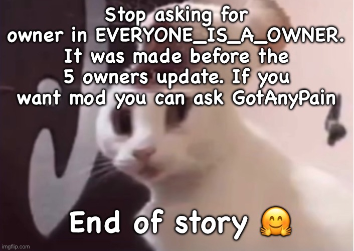 Shocked cat | Stop asking for owner in EVERYONE_IS_A_OWNER. It was made before the 5 owners update. If you want mod you can ask GotAnyPain; End of story 🤗 | image tagged in shocked cat | made w/ Imgflip meme maker