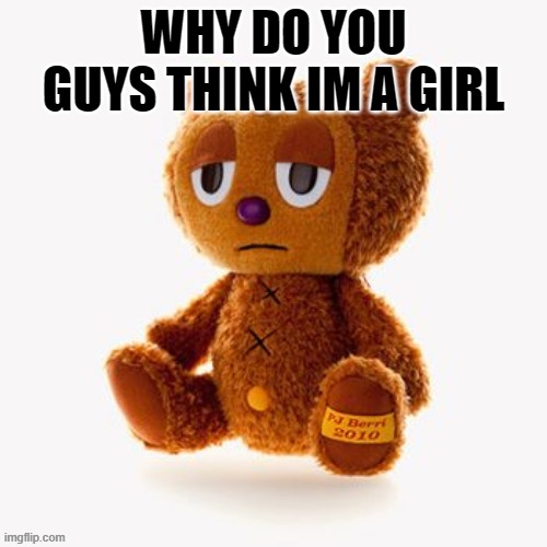 Pj plush | WHY DO YOU GUYS THINK IM A GIRL | image tagged in pj plush | made w/ Imgflip meme maker