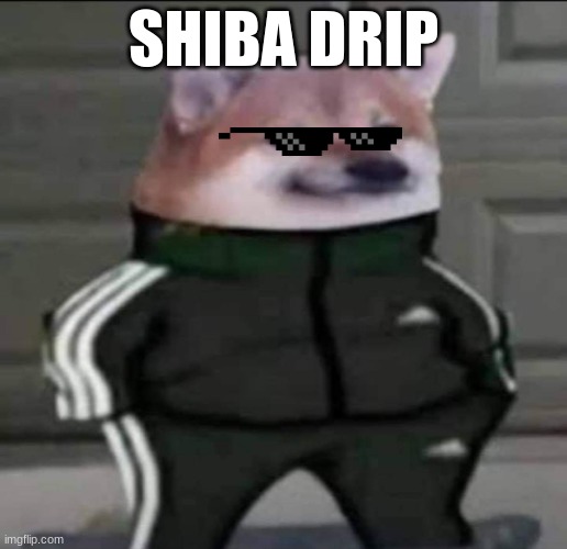 Slav doge | SHIBA DRIP | image tagged in slav doge | made w/ Imgflip meme maker