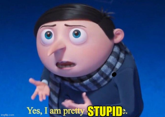 Yes, I am pretty despicable | STUPID | image tagged in yes i am pretty despicable | made w/ Imgflip meme maker