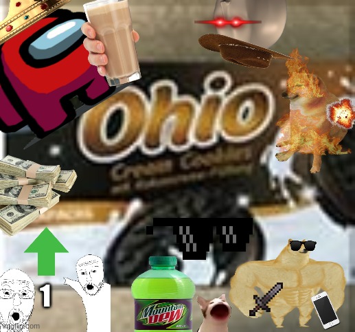 Ohio Cookies CONFORMED | 1 | image tagged in among us,ohio,cheems,choccy milk,money,pop cat | made w/ Imgflip meme maker