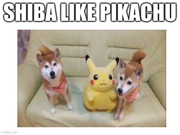 :) | SHIBA LIKE PIKACHU | image tagged in shiba inu | made w/ Imgflip meme maker