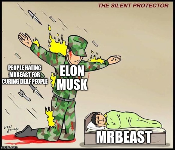 true tho | ELON MUSK; PEOPLE HATING MRBEAST FOR CURING DEAF PEOPLE; MRBEAST | image tagged in the silent protector | made w/ Imgflip meme maker