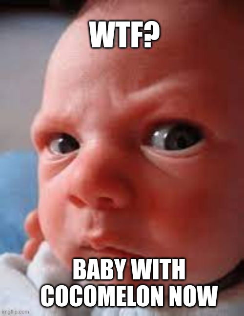 cocomelon SUCKS!!!!! | WTF? BABY WITH COCOMELON NOW | image tagged in angry baby,wtf | made w/ Imgflip meme maker