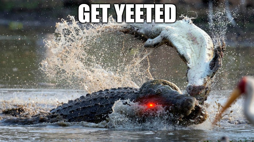 when the croc be doing | GET YEETED | image tagged in crocs | made w/ Imgflip meme maker